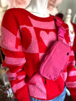 Nylon Crossbody/Belt Bag