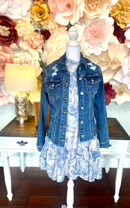 Blue Paisley Drop Waist Mini Dress